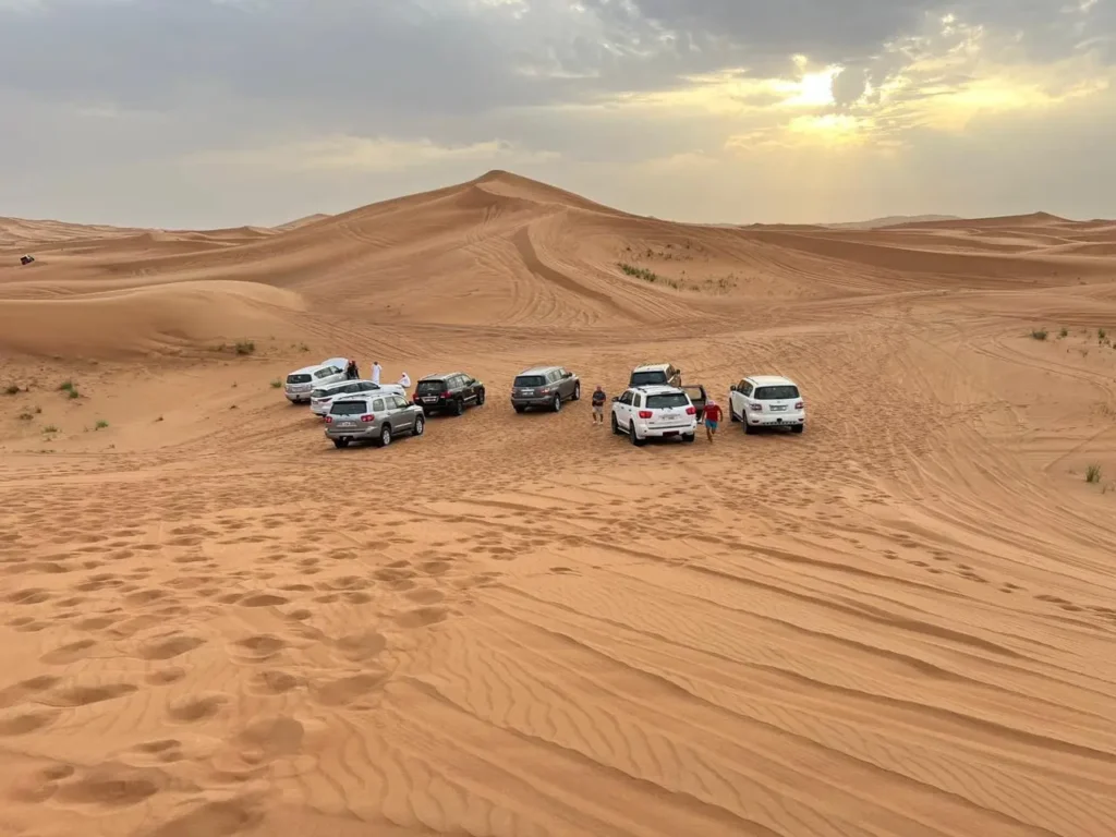 Morning Desert Safari