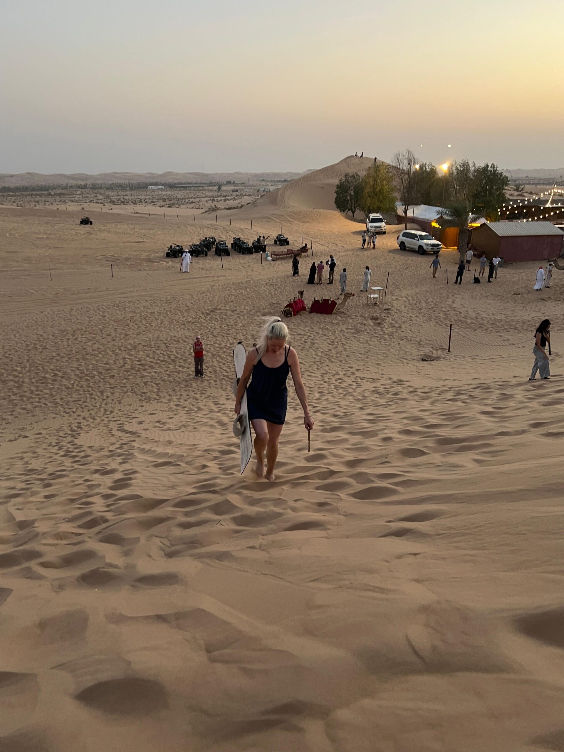 A trained falcon soaring through the air during a falconry show on a desert safari